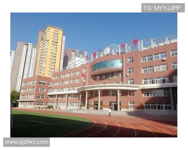 刘铮的奋斗历程与人生哲学探讨：从平凡到卓越的成长之路